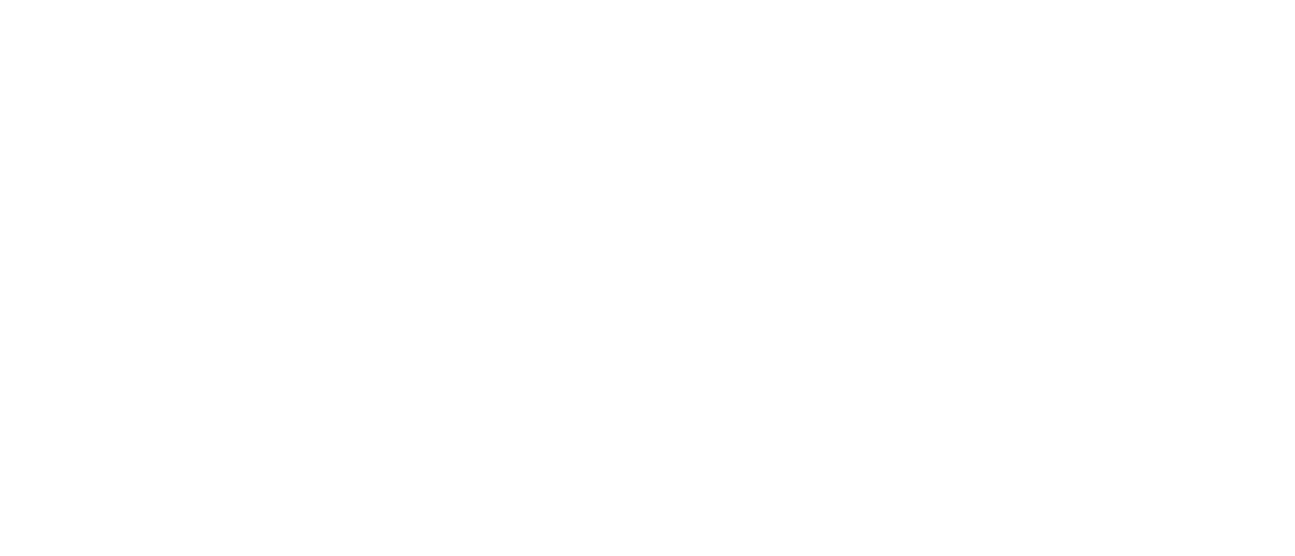 Logo Ana22